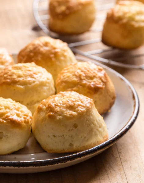 Scone mit Käse — Stockfoto