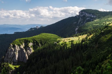 Yaz dağı manzarası