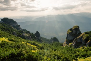 Yaz dağı manzarası
