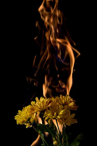 Yellow flower on fire — Stock Photo, Image