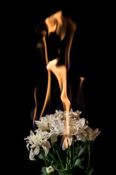 white flower on fire