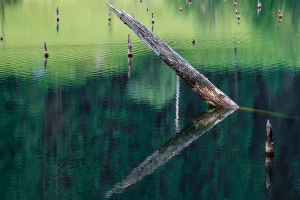 Log in water — Stock Photo, Image