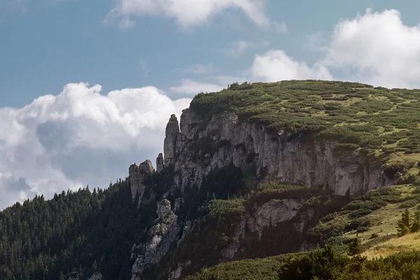 Verão paisagem de montanha — Fotografia de Stock