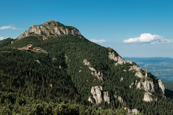 Літній гірський ландшафт — стокове фото