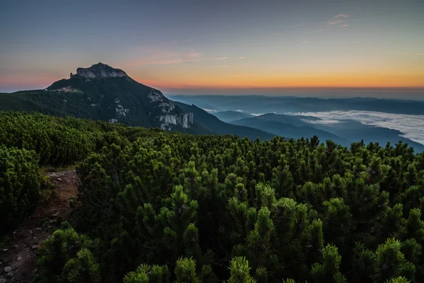 Montanha paisagem matinal — Fotografia de Stock