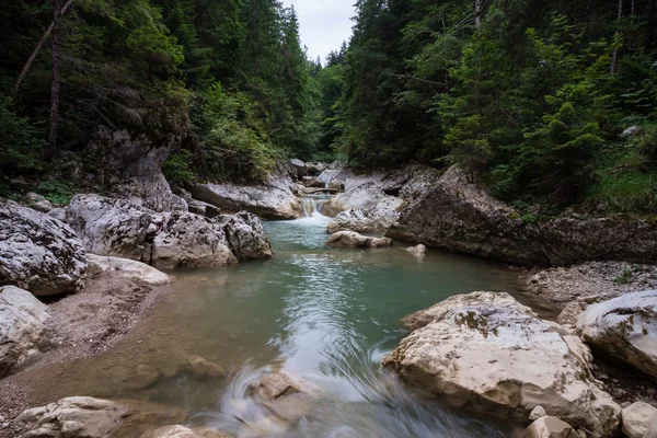 Dzikiego górskiego potoku — Zdjęcie stockowe
