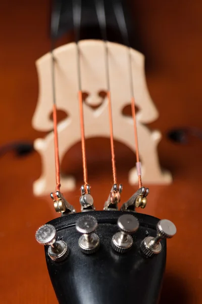 Cello Detail — Stockfoto