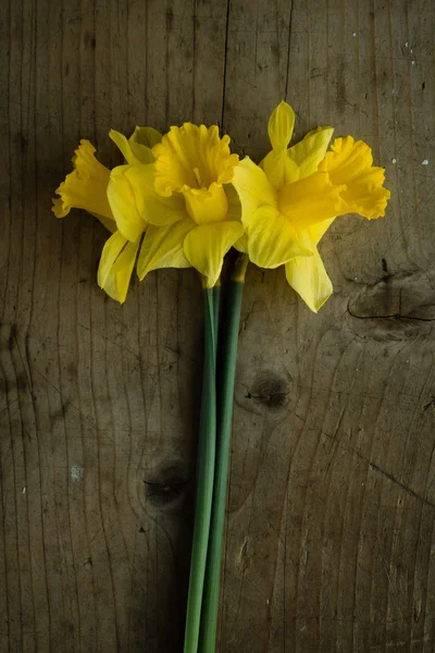 Narcissus flowers on wooden table — Stock Photo, Image