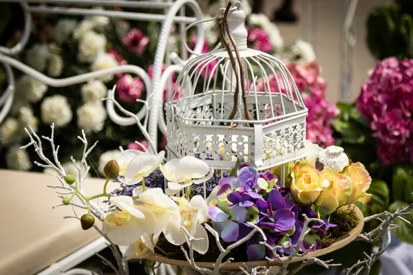 Flowers in cage — Stock Photo, Image