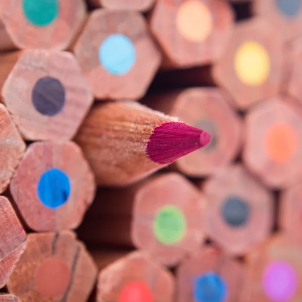 Red pencil standing out from the crowd — Stock Photo, Image