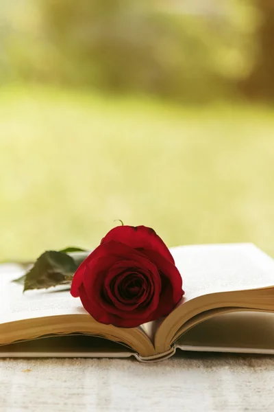Book with rose — Stock Photo, Image