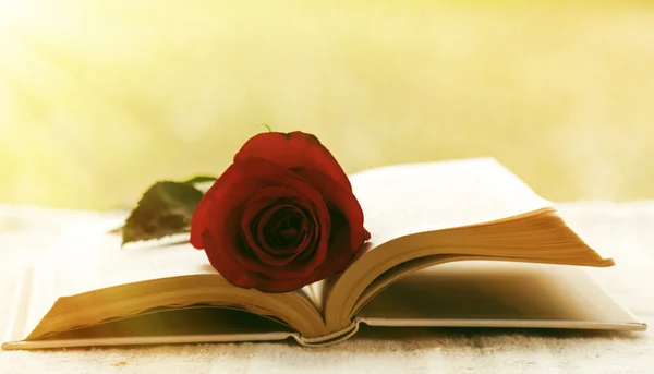 Книга с розой — стоковое фото