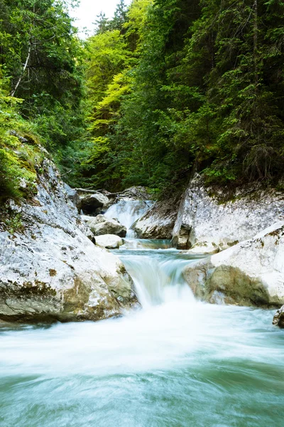 Mountain river — Stock Photo, Image