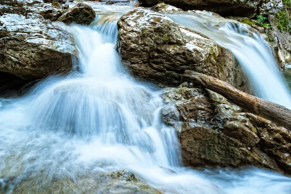 Dağ nehri — Stok fotoğraf