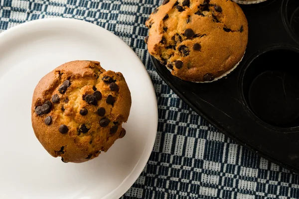 Vers gebakken chocolade chip muffins — Stockfoto