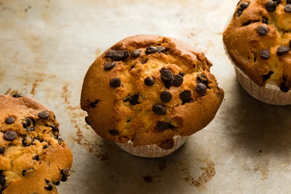 Muffin con gocce di cioccolato fresco — Foto Stock