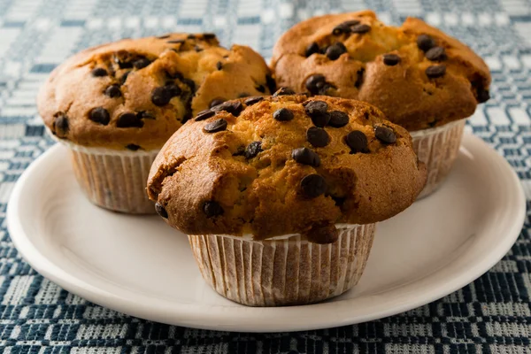 Muffins de chocolate chip na placa — Fotografia de Stock