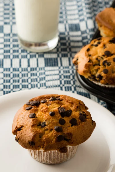 Frisch gebackene Schokolade Chip Muffins — Stockfoto