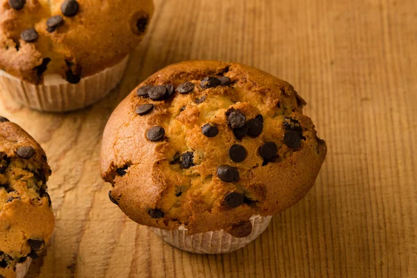 Muffins aux pépites de chocolat — Photo