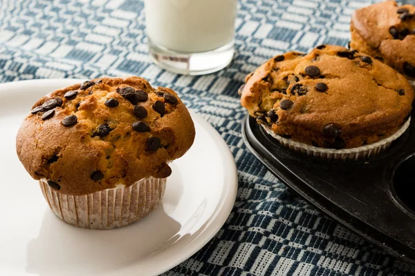 Frisch gebackene Schokolade Chip Muffins — Stockfoto