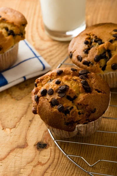 Chocolade chip muffins — Stockfoto