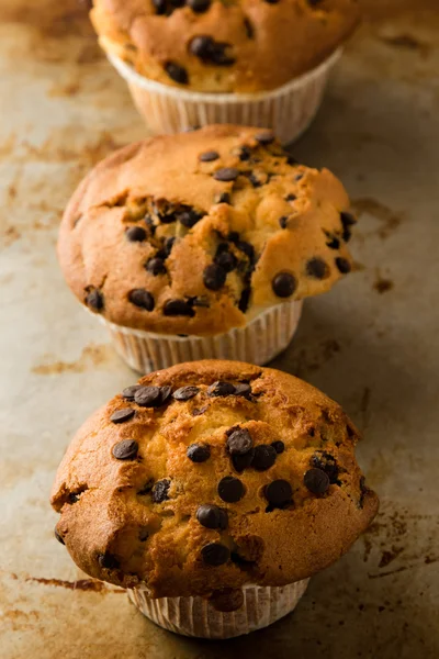 Muffins aus frischer Schokolade — Stockfoto