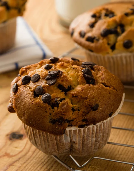 Muffins aux pépites de chocolat — Photo