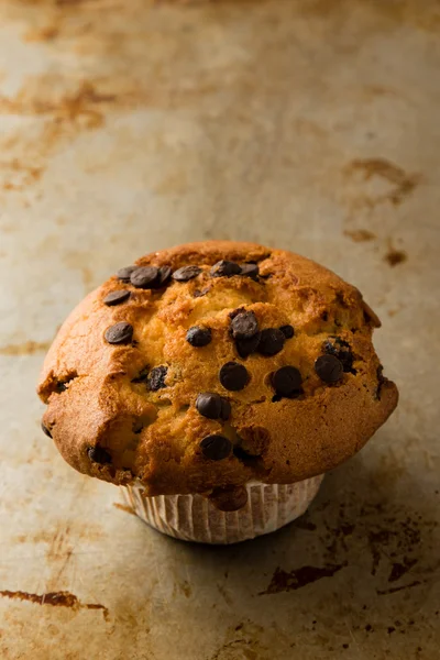 Schokolade Chip Muffin — Stockfoto