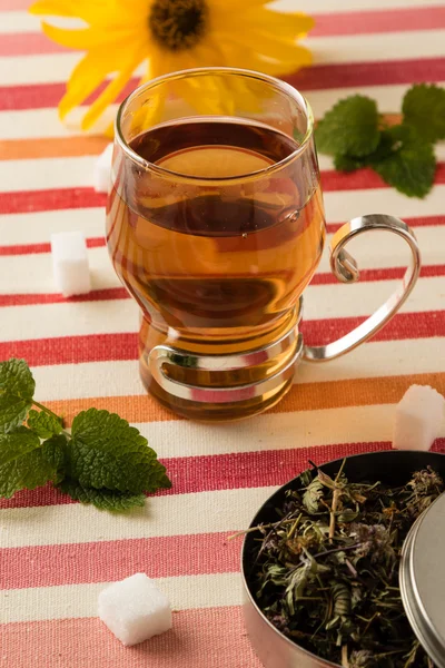 Черный травяной чай — стоковое фото