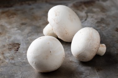 champignon mantarları