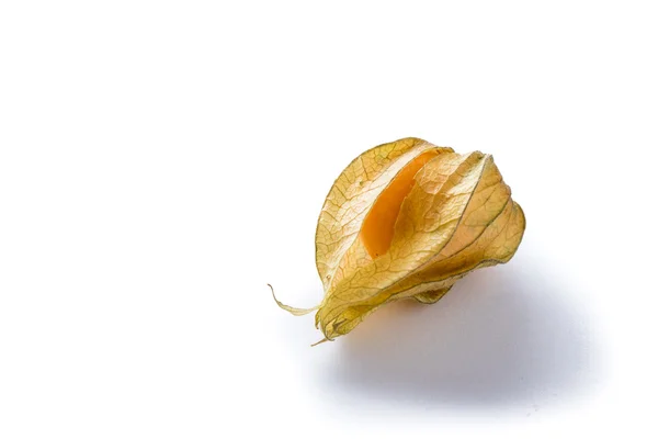 Physalis. —  Fotos de Stock