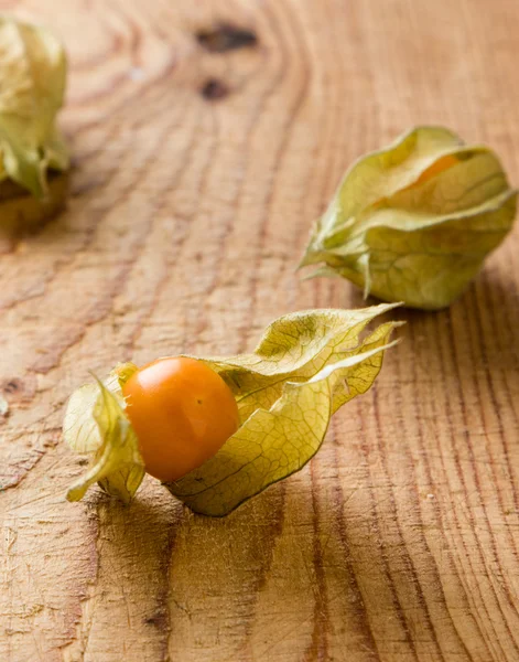 Physalis fresco sul tavolo — Foto Stock