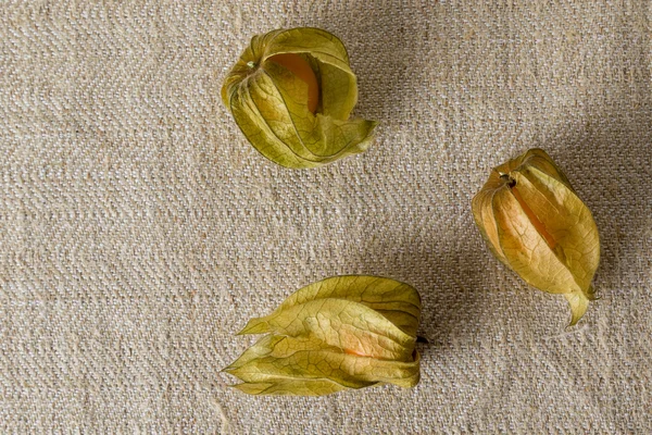 Physalis fresco na tabela — Fotografia de Stock