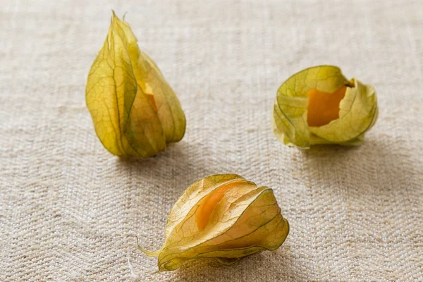 Physalis fresco sul tavolo — Foto Stock