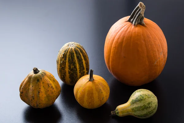 Verscheidenheid van decoratieve pompoenen — Stockfoto