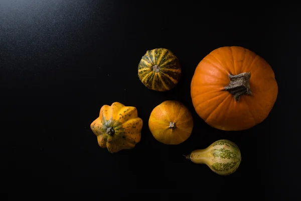 Verscheidenheid van decoratieve pompoenen — Stockfoto