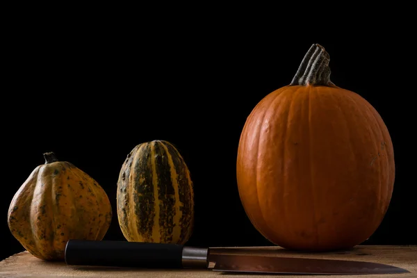 Verscheidenheid van decoratieve pompoenen — Stockfoto