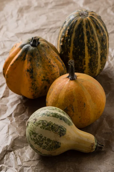 Verscheidenheid van decoratieve pompoenen — Stockfoto