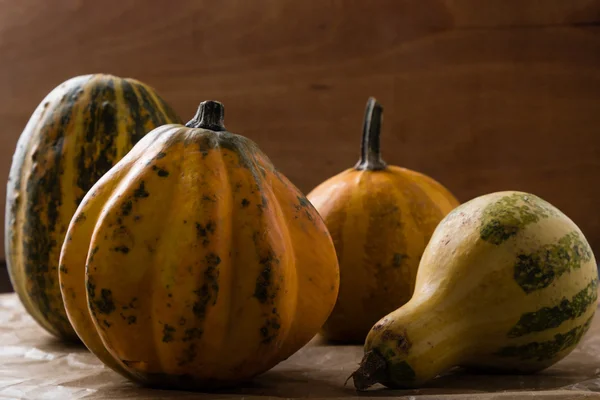 Verscheidenheid van decoratieve pompoenen — Stockfoto