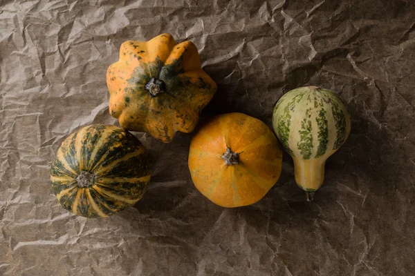 Verscheidenheid van decoratieve pompoenen — Stockfoto