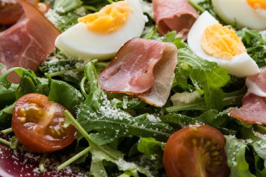 rucola salata portre