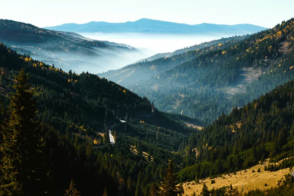 Mattina valle di montagna — Foto Stock