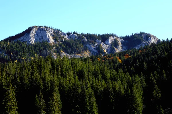 Berglandskap med grön — Stockfoto