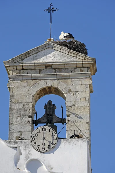 Nid de cigogne à Faro, Portugal — Photo