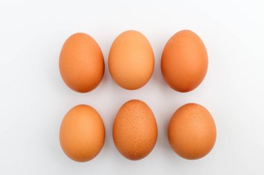 Güzel şekilli bir yumurta. Yenilebilir yumurtalar