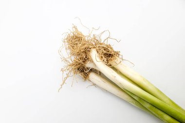 Kalın ve uzun bitki. Yeşil ve beyaz bitkiler. Köklü yeşil soğan
