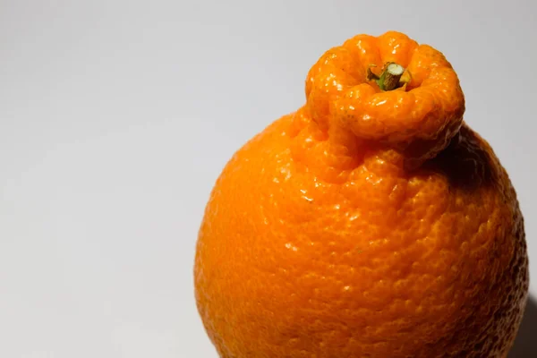 生长在济州岛的柑橘的名字叫Hallabong — 图库照片