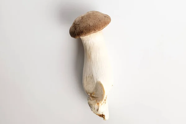 Matsutake King Mushroom Texture Mushrooms Meaty Mushroom — Stock Photo, Image