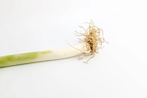 Thick Long Plant Green White Plants Green Onion Roots — Foto Stock