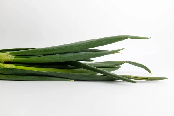 又厚又长的植物绿色和白色的植物 有根的绿色洋葱 — 图库照片